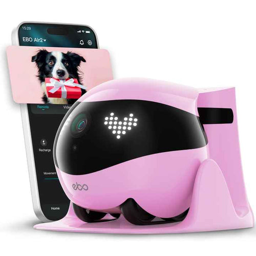 Smart Pet Companion Robot™